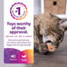 SmartyKat Chickadee Chirp Electronic Sound Cat Toy, Light Brown, One Size - Motion-Activated Bird Chirp