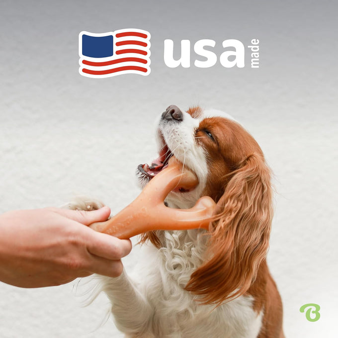 Benebone Wishbone Durable Dog Chew Toy, Medium, Real Bacon, Made in USA for Aggressive Chewers