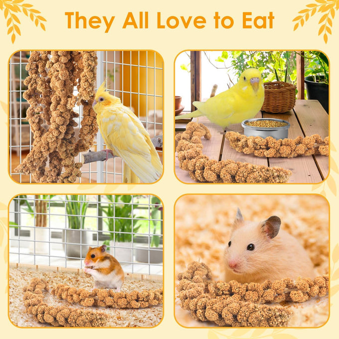 katumo 1.1lb natural sun-dried bird millet parrot food for parakeet budgie cockatiel finches lovebird conure parrots hamster