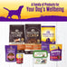Wellness Grain-Free Chicken Stew Wet Dog Food, 12.5 oz, 12 Cans