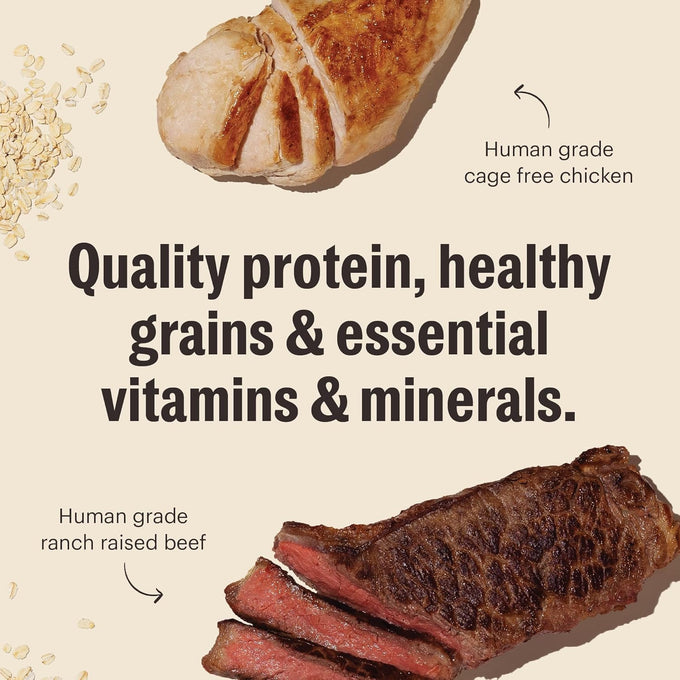 The Honest Kitchen Human Grade Essential Clusters Dry Dog Food