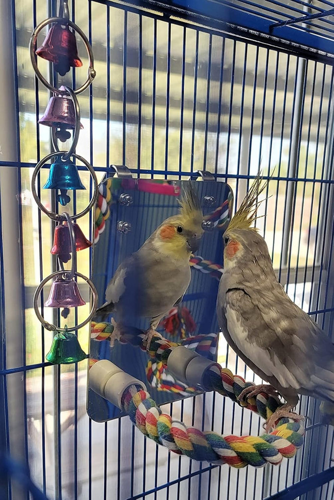 7 inch acrylic bird mirror with rope perch for grey parrots, amazons, parakeets and cockatiels