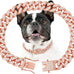 Silver 13mm Wide Metal Dog Chain Collar with Zirconia Diamond Decoration, 10 Inch, Not Adjustable