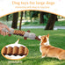 Platypus Stuffed Large Dog Toy - Interactive Plush Chew Toy with Crinkle Paper and Squeaker for Small Medium Large Dogs