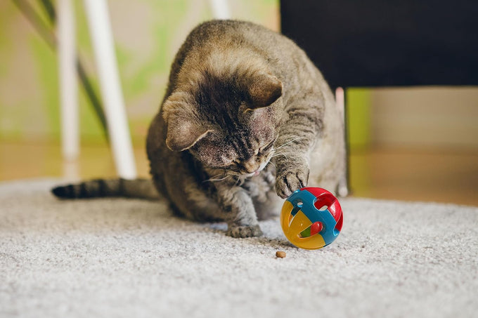 SIMENA Parrot Ball Toy with Bell, Cage Hanging Accessory for Medium to Large Birds, Durable Plastic and Metal, Set of 1