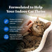 Blue Buffalo Wilderness natural adult dry cat food for indoor cats, high-protein, chicken, 5-lb bag