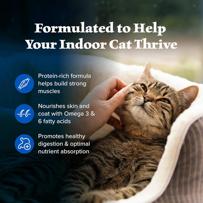 Blue Buffalo Wilderness natural adult dry cat food for indoor cats, high-protein, chicken, 5-lb bag