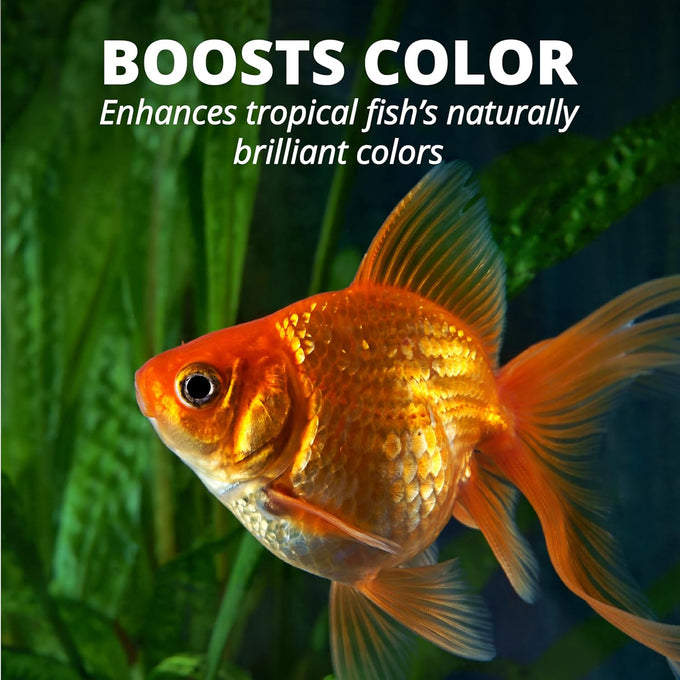 Tetra Goldfish Flakes, Nutritionally Balanced Diet for Aquarium Fish, Vitamin C Enriched, 2.2 lbs