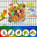 katumo bird toys parakeet grass mat foraging toy parrot shredding hanging for cockatiel lovebird parakeet budgie