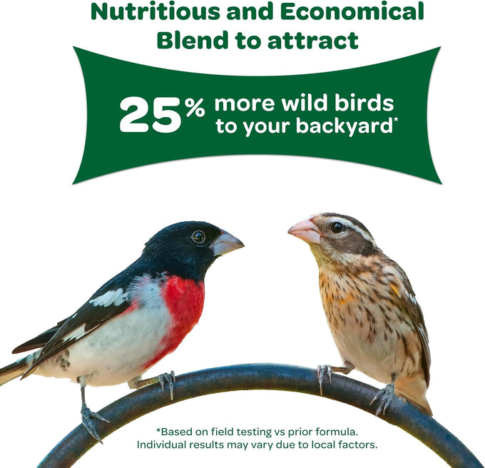 10lb Kaytee Wild Bird Basic Seed, Economical Sunflower and Millet Mix for Backyard Birds, Made in the USA