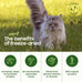 smallbatch freeze-dried raw cat food, beef recipe, high protein meal or topper, 10oz bag, usa made