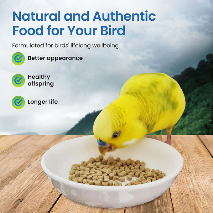 Harrison's Certified Organic Non-GMO Adult Bird Food Small 1lb Formula For Medium to Large Birds