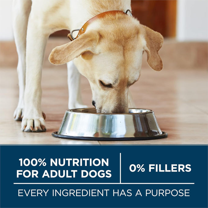 Purina ONE Plus Large Breed Adult Dog Food - 40 lb Bag