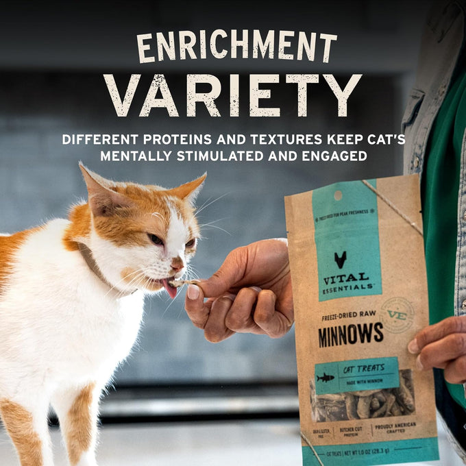 Vital Essentials freeze-dried rabbit cat treats, single protein, grain free, crunchy, 0.9 oz bag, premium quality