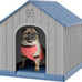 Bifanuo plastic dog house for small to medium dogs, weatherproof design, air vents, elevated floor, easy clean and assemble in blue, 26.18'' L x 24.03'' W x 25.98'' H