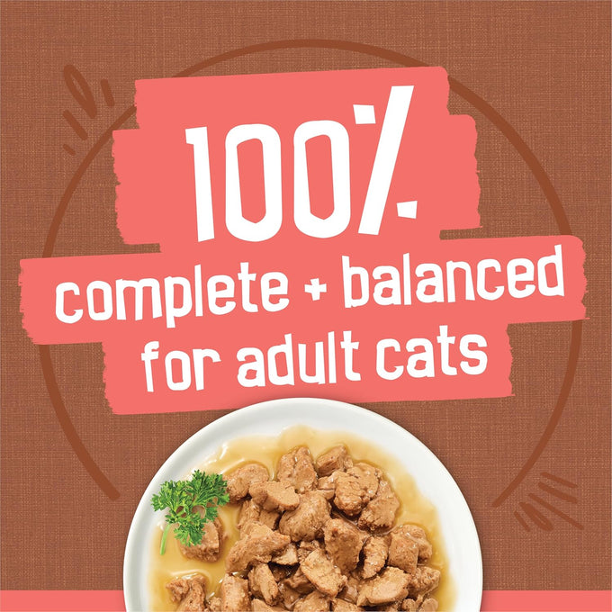 purina friskies extra gravy wet cat food 24ct variety pack with chicken turkey salmon beef 5.5 oz cans