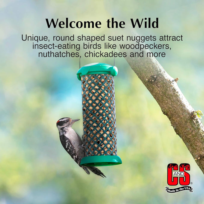 C&S 8-pound wild bird woodpecker suet nuggets mega box with soft textured round nuggets