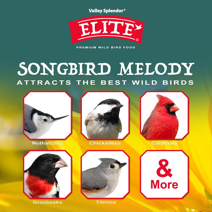 Songbird Melody Premium Bird Feed Blend with Black Oil Sunflower Seeds and Berry Scent