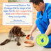 native-pet-omega-3-fish-oil-8oz-wild-alaskan-salmon-oil-for-dogs-skin-coat-joints-heart