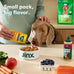 Jinx salmon grain free wet dog food toppers, made with real salmon & chicken, no fillers, 3oz, 8 pack