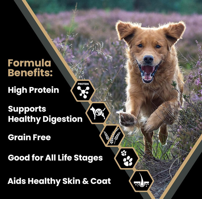 VICTOR Grain-Free High-Protein Dog Food, 42% Protein, 5 lb