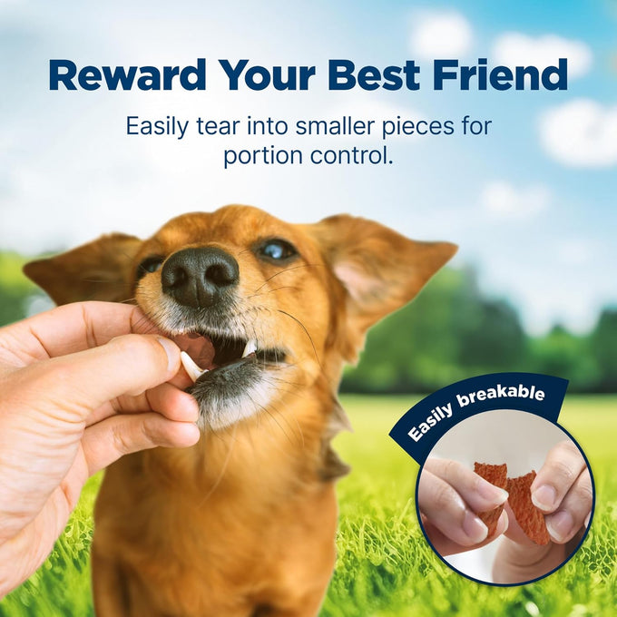 Blue Buffalo Nudges Jerky Bites Dog Treats 5-oz Bag, Made in USA with Natural Chicken Ingredients