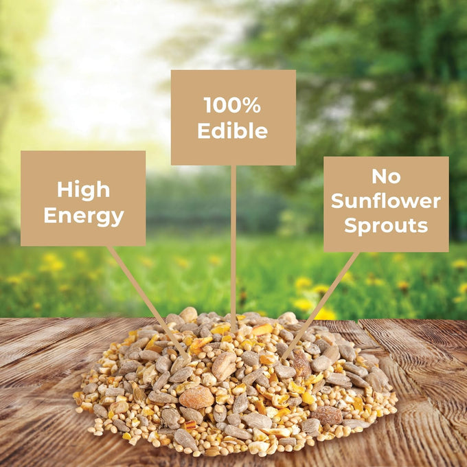 Kaytee Wild Bird No Mess or Waste Free Seed Blend for Blue Jays Woodpeckers and More 10 Pound