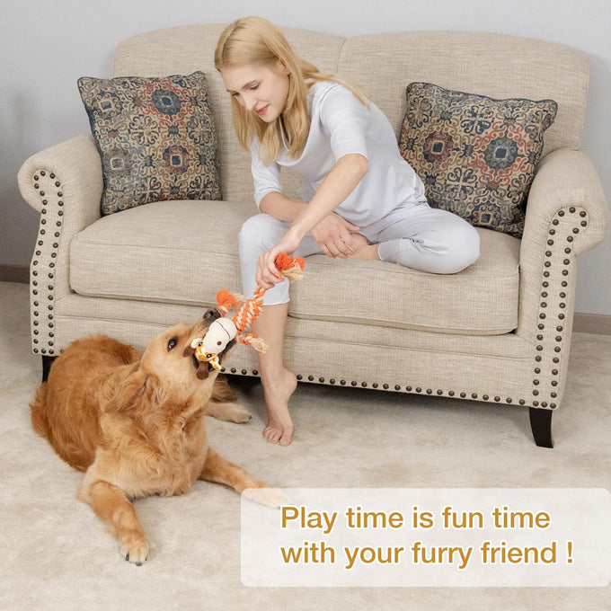 Giraffe plush squeak toy for dogs, premium soft plush, reinforced braided rope, squeaker & crinkle paper, machine washable