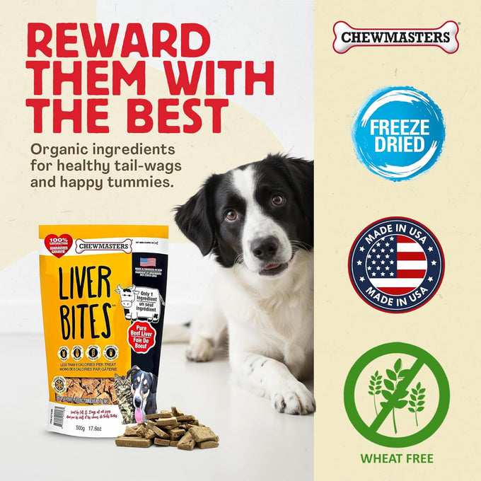 Chewmasters 100% pure beef liver bites freeze-dried dog treats made in usa grain free all natural