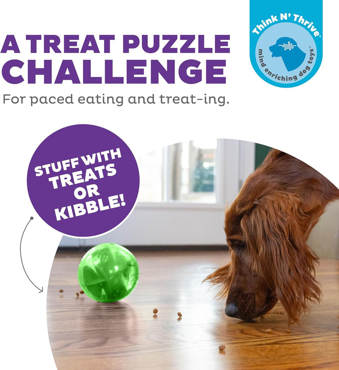 Outward Hound Orbee-Tuff Mazee Interactive Dog Puzzle Toy in Green, 4.7-Inch, Treat Dispensing Slow Feeder Ball
