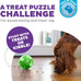 Outward Hound Orbee-Tuff Mazee Interactive Dog Puzzle Toy in Green, 4.7-Inch, Treat Dispensing Slow Feeder Ball