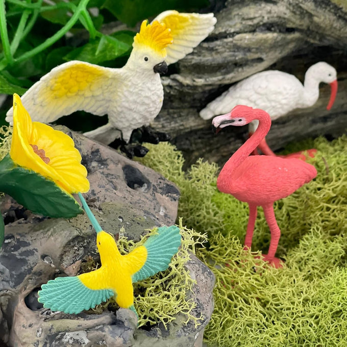 safari ltd exotic birds toob 10 figurines parakeet quetzal macaw hummingbird educational toy for kids