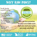Raw Paws lamb pizzle twists for dogs, 5-9-inch, USA packed, natural lamb, free-range, and grain-free