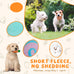 Cheerful 20-Pack Squeaky Plush Dog Toys Set with Dog Bags for Small Dogs, Fun&Teeth Cleaning