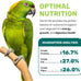 Parrot Mix 5 Lbs, Premium Parrot Food, Nutrient-Rich Blend for Energy, Growth, Digestive Health, Balanced Diet