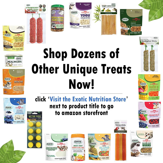 Exotic Nutrition Healthy Natural Mixed Dried Vegetable Treat for Small Pets 8 oz