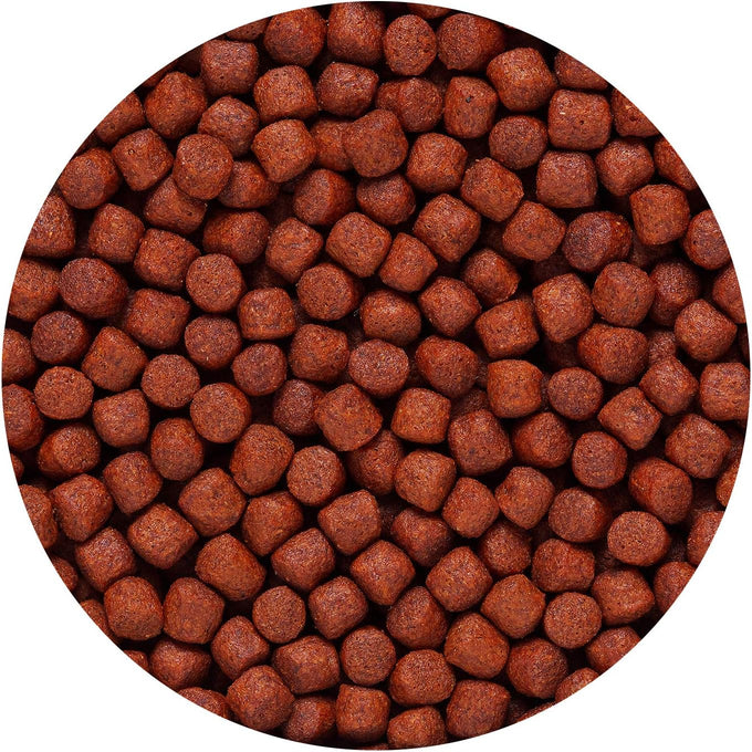 Hikari Blood Red Parrot+ Medium Pellet Fish Food, 11.7 oz, Color Enhancing Formula with Astaxanthin