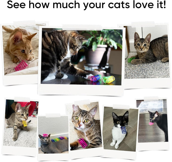 Cat Spring Toys for Indoor Cats, 30 Pack Interactive Durable Plastic Toys for Kitten Hunt and Exercise