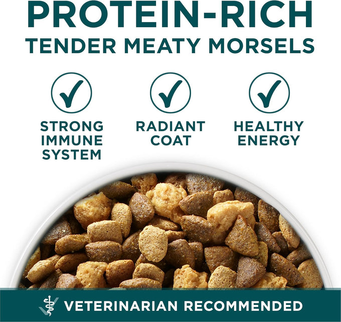 Purina ONE Plus Puppy Dry Dog Food, Chicken, 31.1 lb