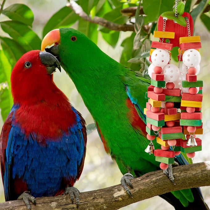 seenelling 3pcs large multicolored wooden parrot cage chewing toys for macaws african greys cockatoos