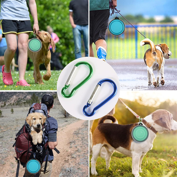 slson collapsible dog travel bowls 2 pack light blue and green small size