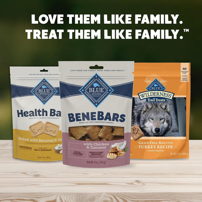 Blue Buffalo BeneBars Skin & Coat Support Dog Treats with Omega 3 & 6 Fatty Acids