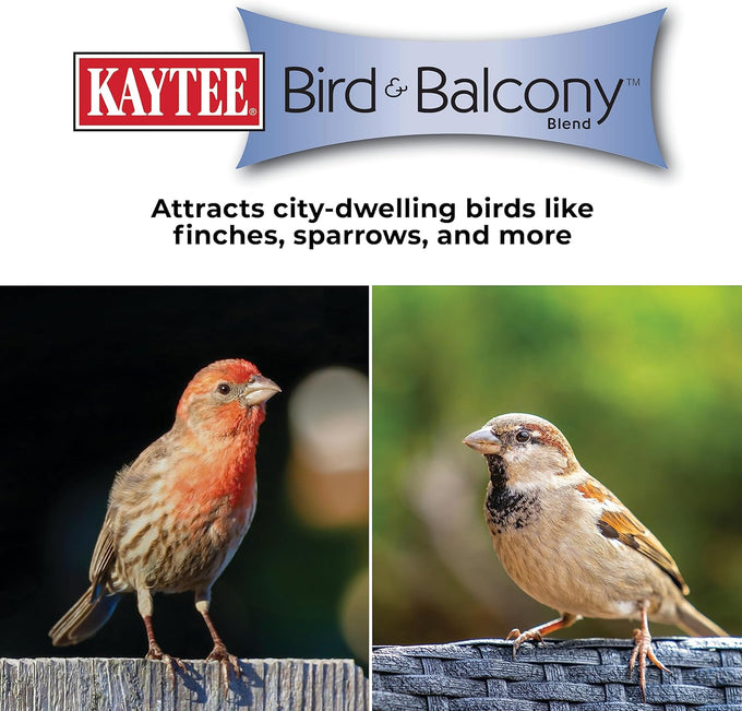 kaytee bird & balcony wild bird food no mess seed blend for city dwelling birds finches sparrows mourning doves