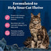 Blue Buffalo Wilderness Salmon Grain Free Dry Adult Cat Food High Protein 11-lb Bag