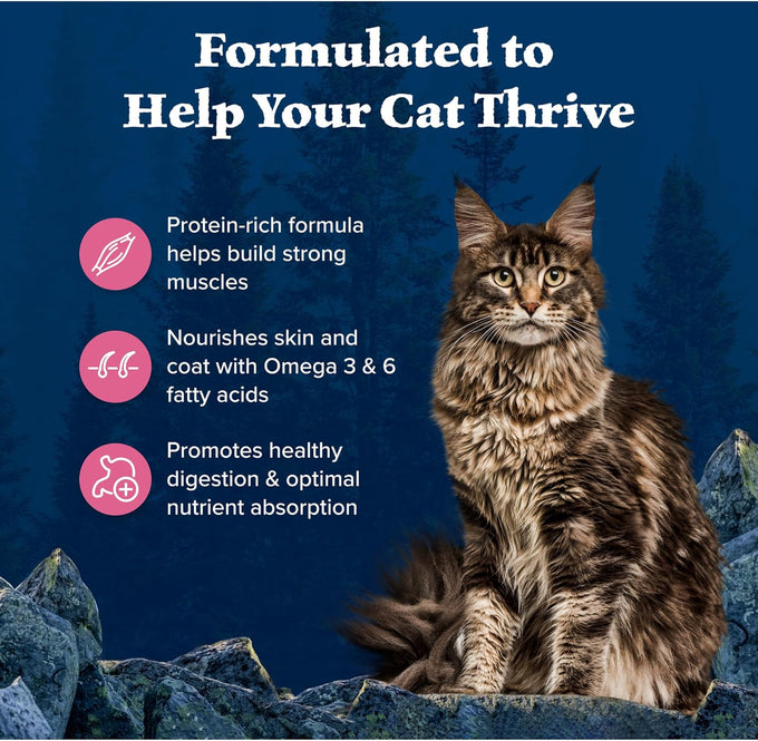 Blue Buffalo Wilderness Salmon Grain Free Dry Adult Cat Food High Protein 11-lb Bag