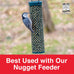 C&NoMeltandNoWasteBluebirdNuggets27Ounce6Packwildbirdfood