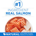 Purina ONE Plus High Protein Cat Food Dry Salmon and Ocean Whitefish Cat Skin and Coat Health Formula - 3.5 lb. Bag