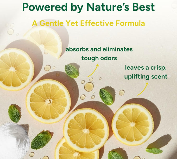 Good Natured Brand carpet deodorizer 31 oz pet odor eliminator powder fresh natural lemon scent safe homes pets