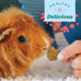 Oxbow Simple Rewards Timothy Hay Guinea Pig & Bunny Treats, 3 oz Bag, Natural Pet Snack, Made in USA