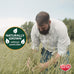 Kaytee 2nd Cut Soft and Lush Timothy Hay, 6.5 lbs, America's Number 1 Hay Brand for Guinea Pigs, Rabbits, and Small Animals
